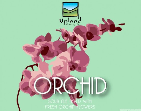 Upland Orchid label BeerPulse