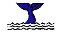 Cisco Whales Tale logo