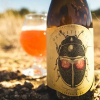 Jester King Detritivore BeerPulse