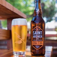 Saint Archer Citra 7 IPA BeerPulse