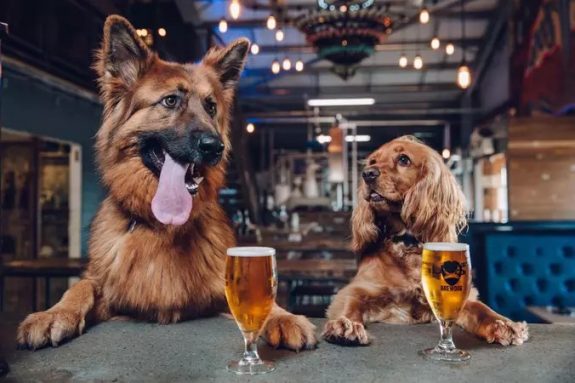 BrewDog puppies BeerPulse