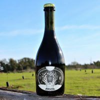 Jester King Biere de Lenoir BeerPulse