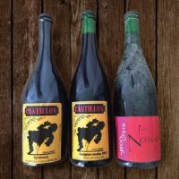 Brews for New Avenues 2017 BeerPulse