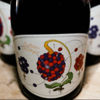 Jester King Synthesis Analogous 2017 bottle BeerPulse