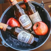 Louis Raison Organic Dry Bottles BeerPulse