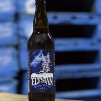 Elysian Bifrost Winter Pale Ale BeerPulse
