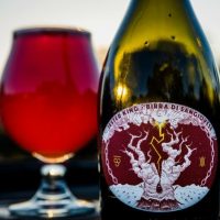 Jester King Birra di Sangiovese bottle crop BeerPulse