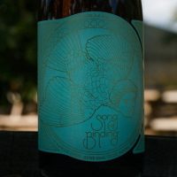 Jester King Song of Binding bottle BeerPulse