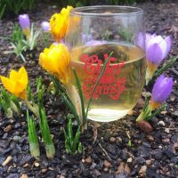 Cider Rite of Spring 2018 BeerPulse