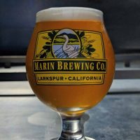 Marin F.B.I.P.A glass BeerPulse