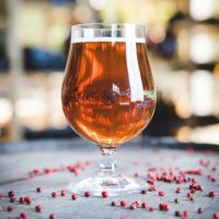 Karl Strauss 29th Anniversary Barrel Aged Saison glass BeerPulse