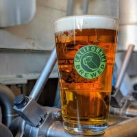 Marin Sancho Lager BeerPulse