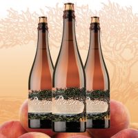 Crooked Stave Stone Fruit Harvest Weekend 2018 BeerPulse